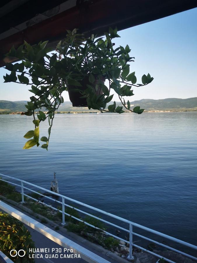 Kod Dzimija Bed & Breakfast Golubac Exterior photo